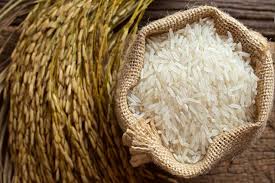 Organic Basmati