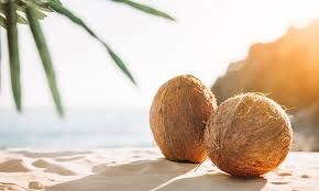 Coconuts
