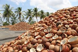 Coconut Copra