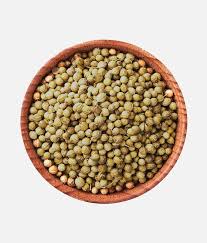 Coriander
